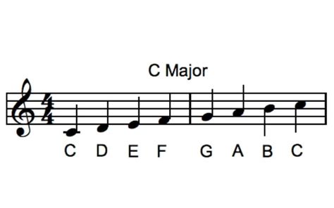 how many notes in a musical scale