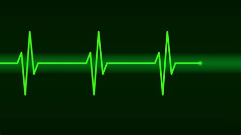 what is pulse in music what does the heartbeat of a piece mean